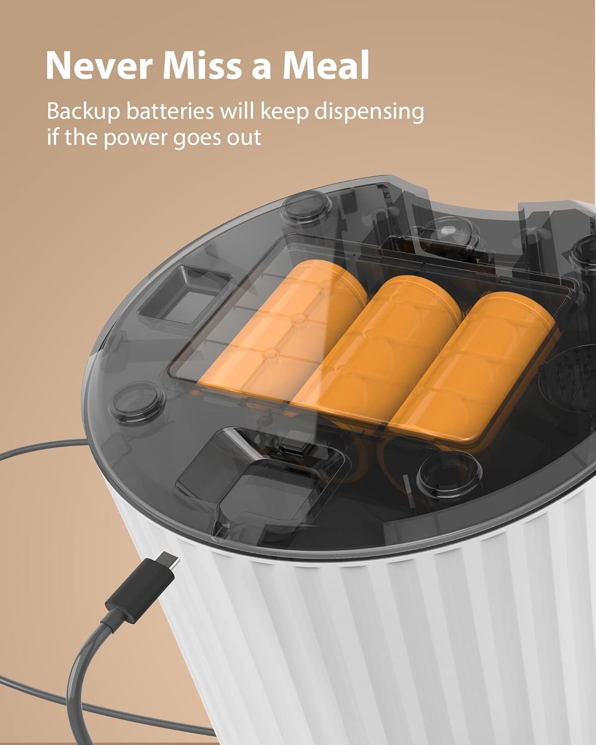 Petory Automatic Cat Feeder – 4L Timed Dispenser with Voice & Battery Backup - Paw Fit Gears