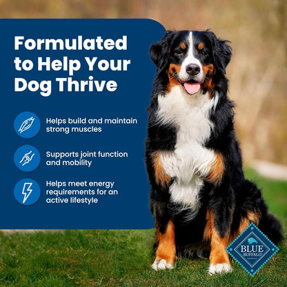 Blue Buffalo Life Protection Adult Dog Food – Chicken & Brown Rice, 30 lb - Paw Fit Gears
