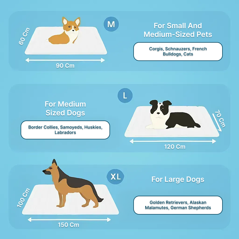 The innovative cooling mat for dogs