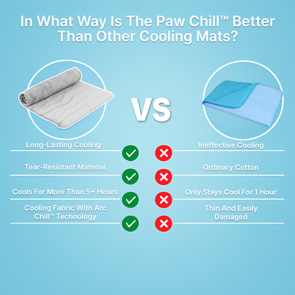 The innovative cooling mat for dogs