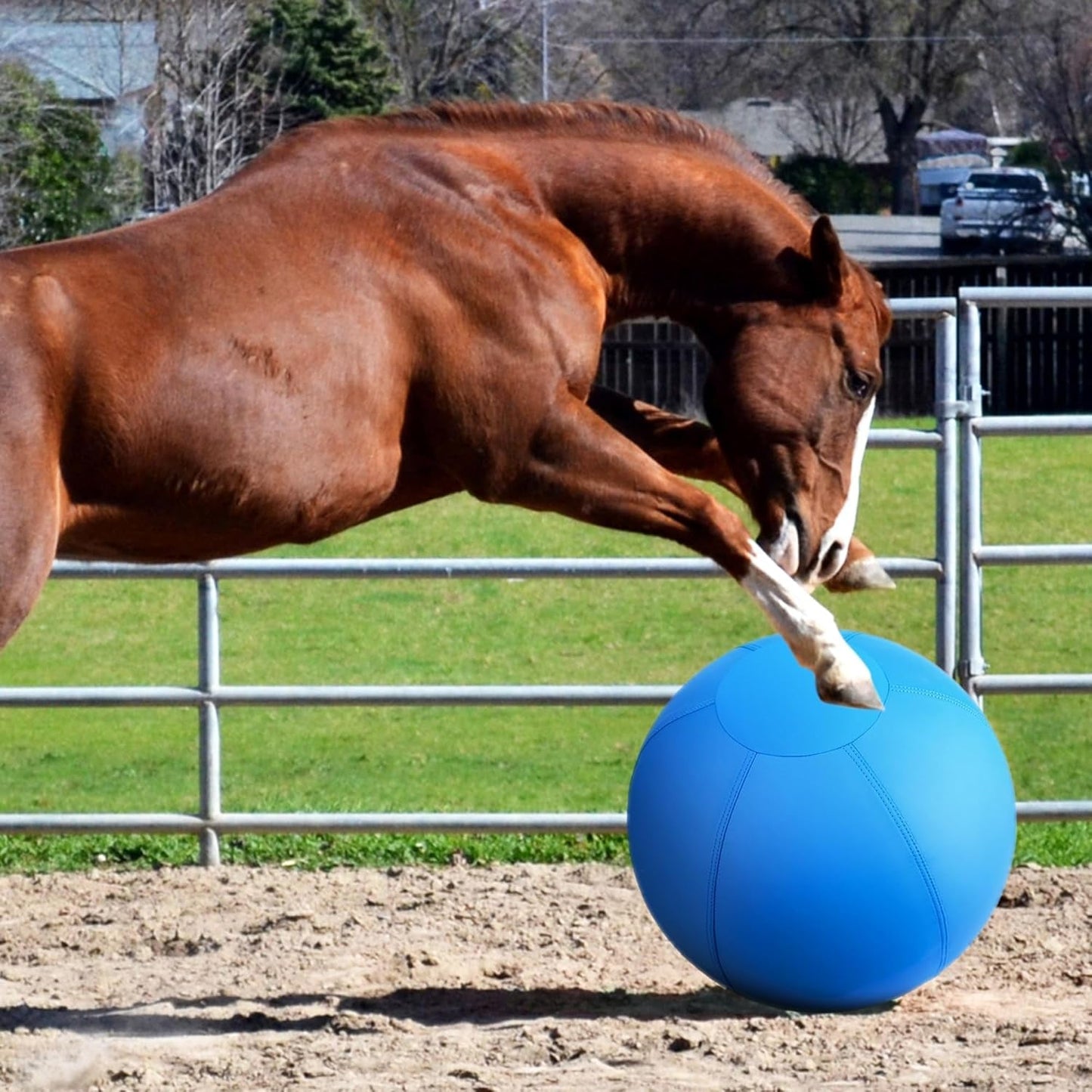 18" Herding Ball for Dogs & Horses – Durable, Bite - Resistant Training Toy for Active Breeds - Paw Fit Gears