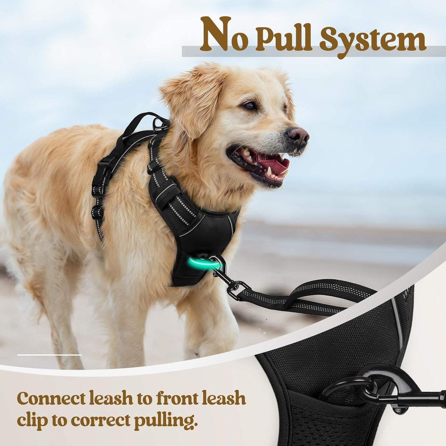 No - Pull Dog Harness with 2 Leash Clips – Adjustable, Reflective, Padded Vest for Large Dogs (Black, L) - Paw Fit Gears